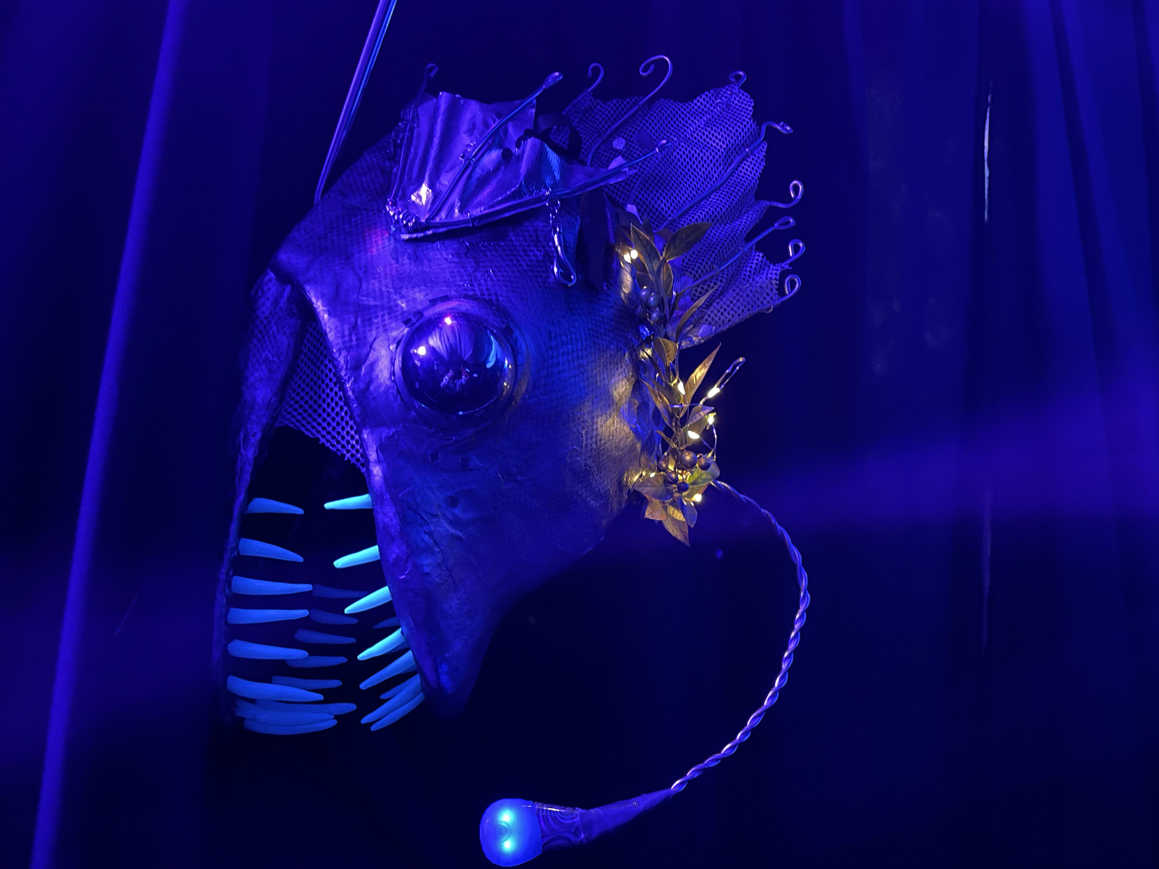 Anglerfish