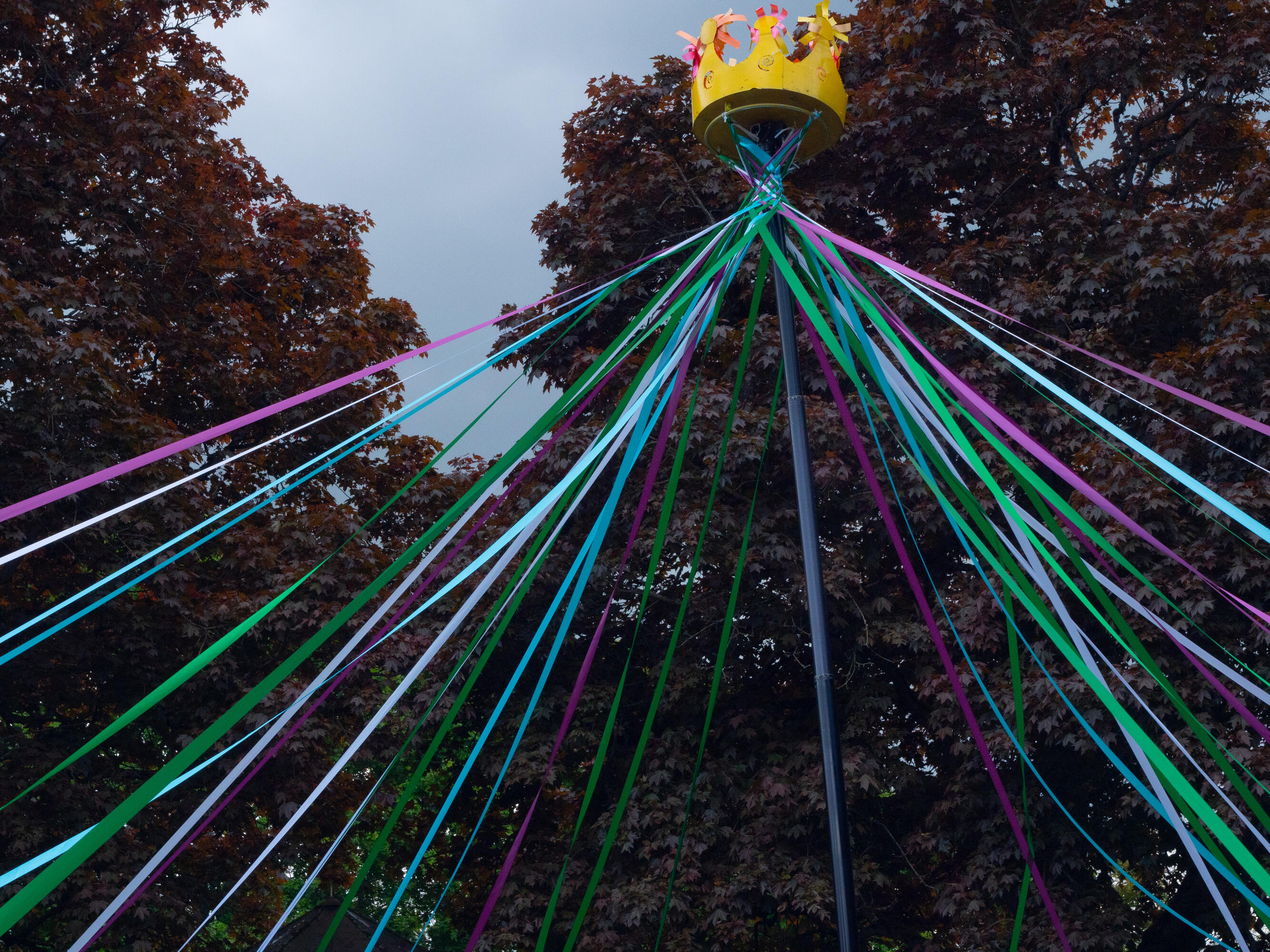 Maypole weaving starts