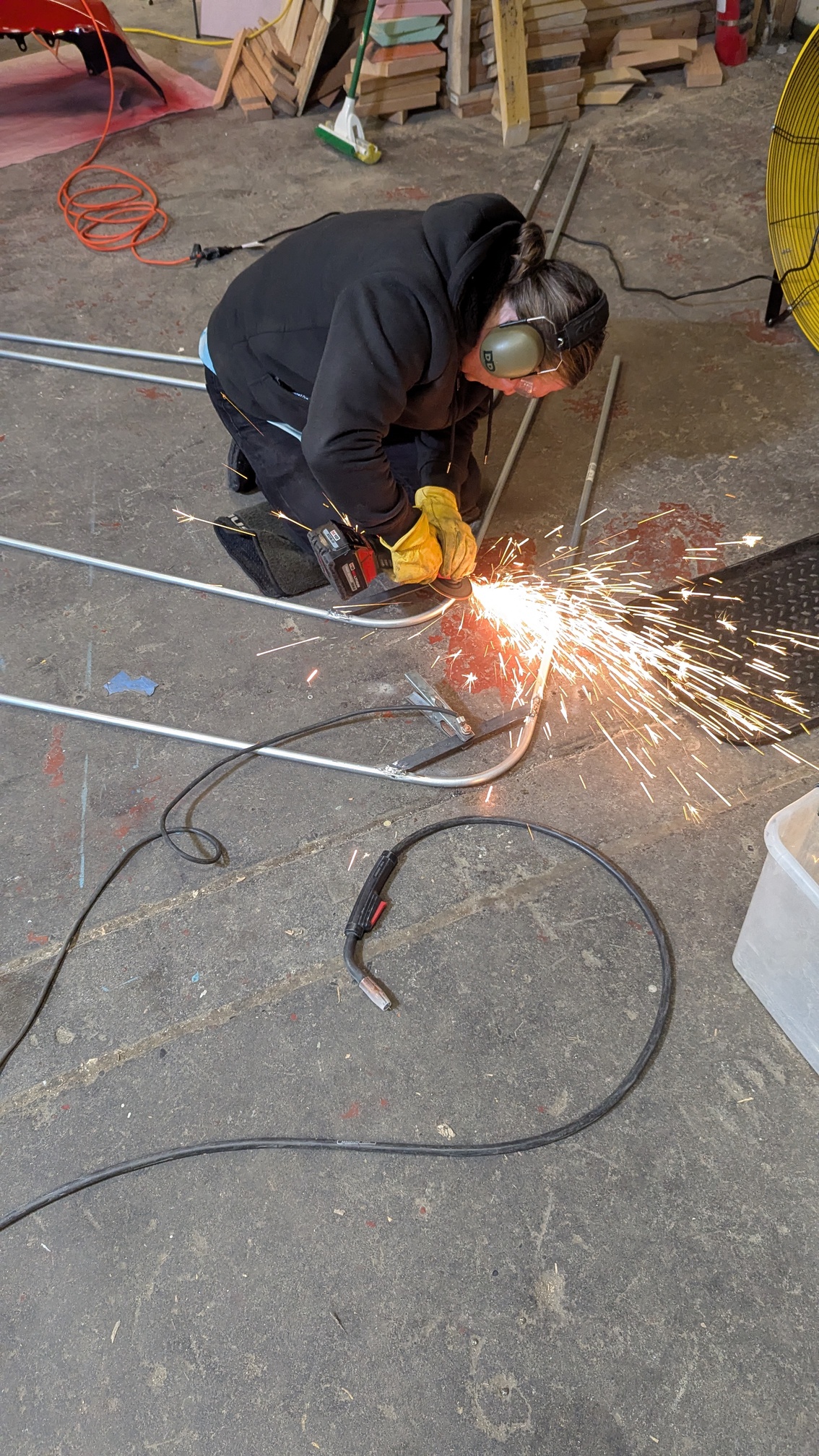 WIP - Cats Andy grinding