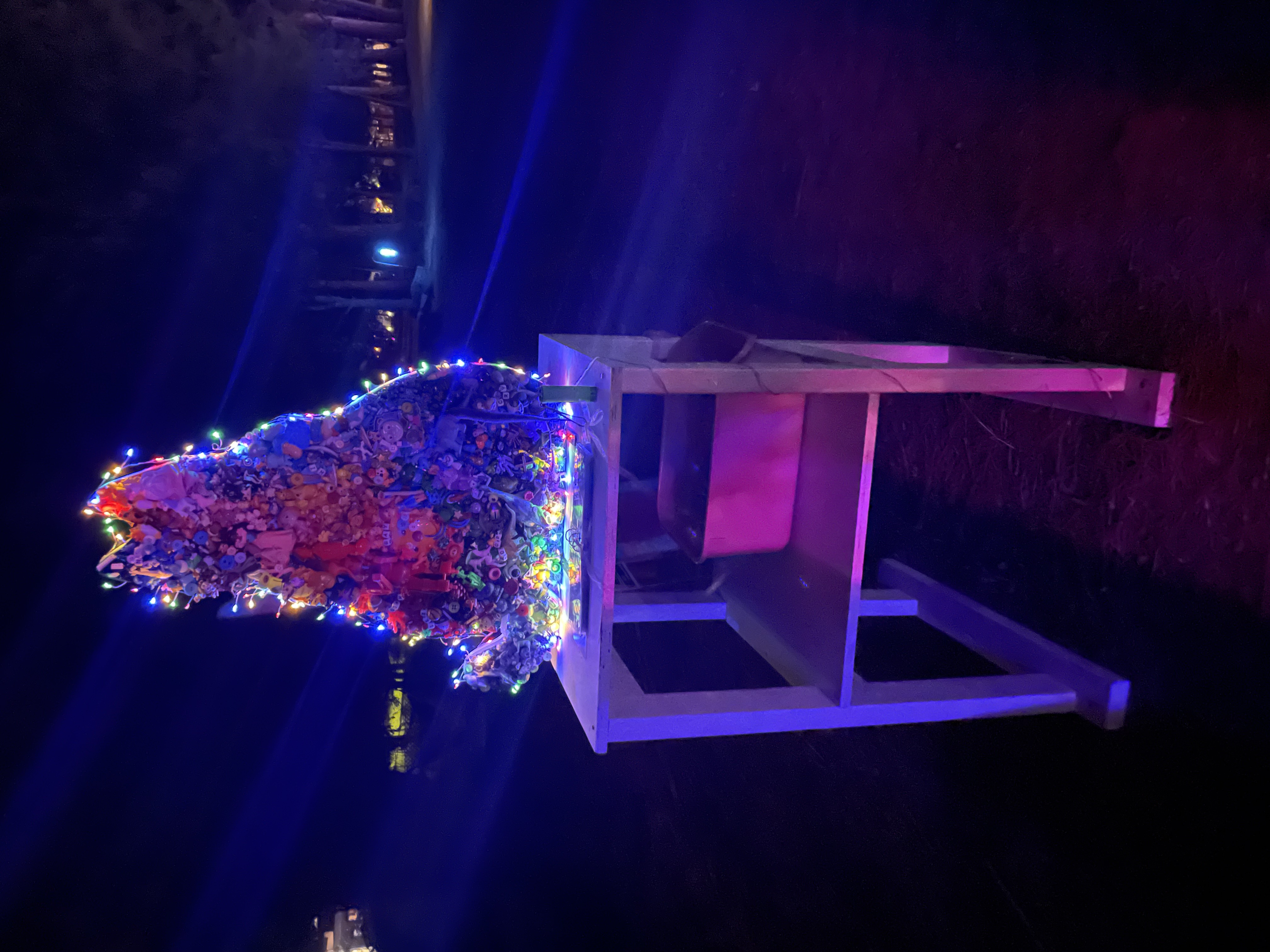 Kitty GLitter at night 2